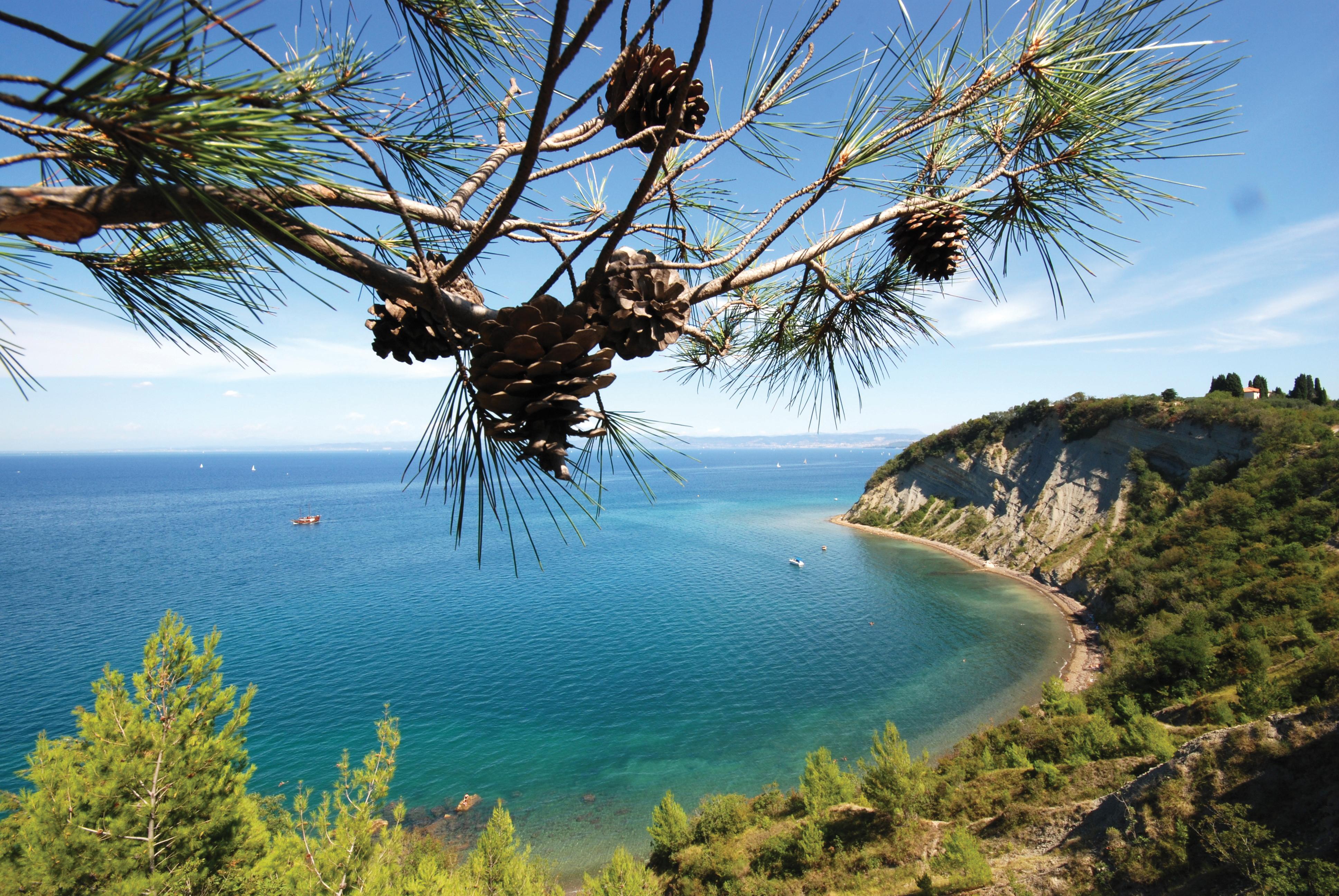 Bioenergy Resort Salinera Apartments Strunjan Bagian luar foto